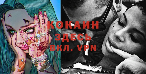 крисы Алексин