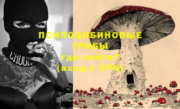 крисы Алексин