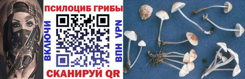 где купить наркоту  Старая Купавна  Псилоцибиновые грибы MAGIC MUSHROOMS 